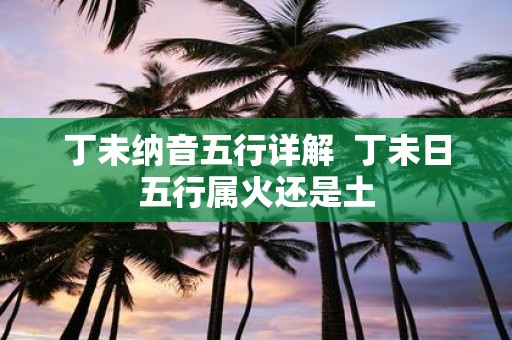 丁未纳音五行详解 丁未日五行属火还是土
