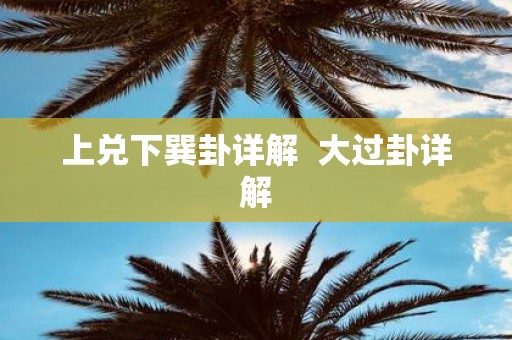 上兑下巽卦详解 大过卦详解