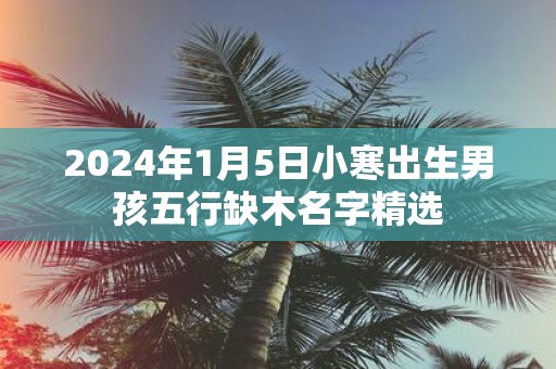 2025年1月5日小寒出生男孩五行缺木名字精选