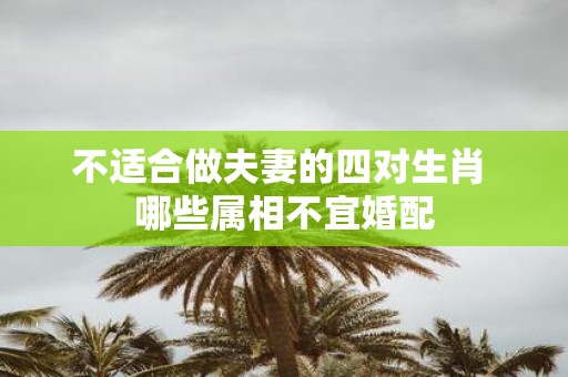 不适合做夫妻的四对生肖 哪些属相不宜婚配
