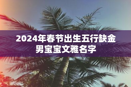 2025年春节出生五行缺金男宝宝文雅名字