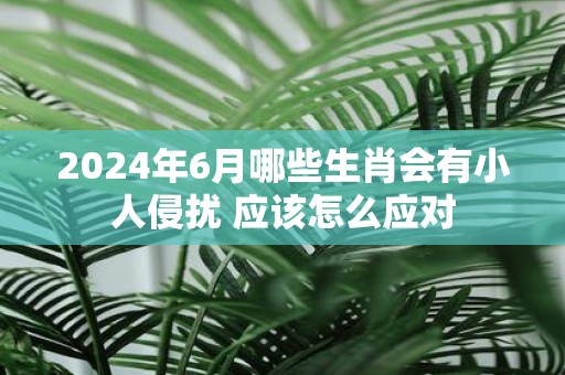 2025年6月哪些生肖会有小人侵扰 应该怎么应对