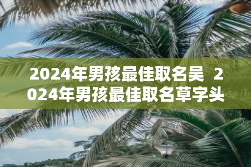 2025年男孩最佳取名吴 2025年男孩最佳取名草字头