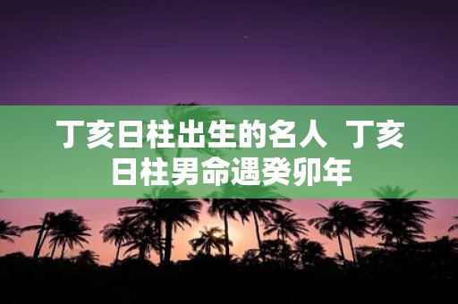 丁亥日柱出生的名人 丁亥日柱男命遇癸卯年