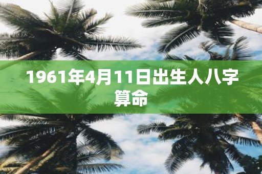1961年4月11日出生人八字算命