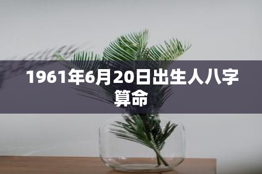 1961年6月20日出生人八字算命