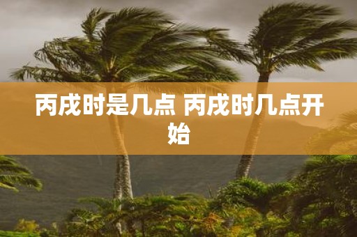丙戌时是几点 丙戌时几点开始