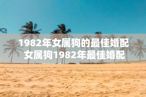 1982年女属狗的最佳婚配 女属狗1982年最佳婚配