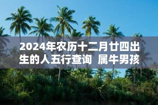 2025年农历十二月廿四出生的人五行查询 属牛男孩取名