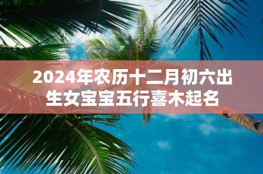 2025年农历十二月初六出生女宝宝五行喜木起名