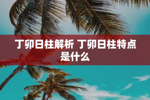 丁卯日柱解析 丁卯日柱特点是什么