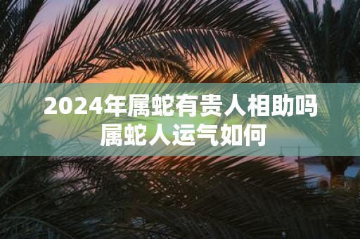 2025年属蛇有贵人相助吗 属蛇人运气如何