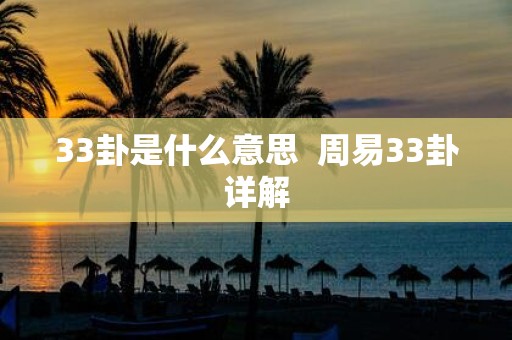 33卦是什么意思 周易33卦详解