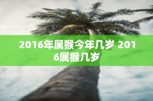2016年属猴今年几岁 2016属猴几岁