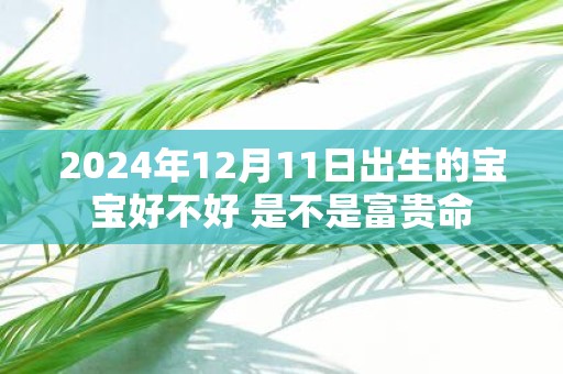 2025年12月11日出生的宝宝好不好 是不是富贵命