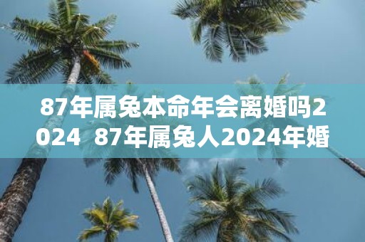 87年属兔本命年会离婚吗2025 87年属兔人2025年婚姻运势