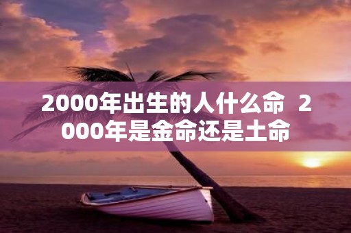 2000年出生的人什么命 2000年是金命还是土命