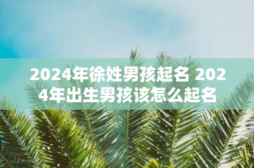 2025年徐姓男孩起名 2025年出生男孩该怎么起名