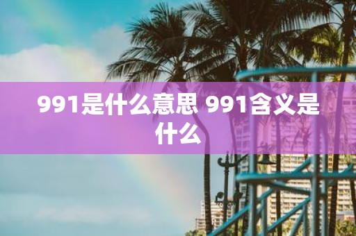 991是什么意思 991含义是什么