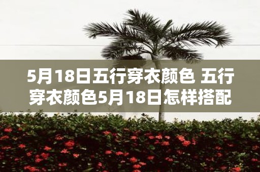 5月18日五行穿衣颜色 五行穿衣颜色5月18日怎样搭配