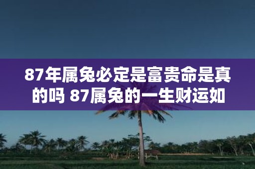 87年属兔必定是富贵命是真的吗 87属兔的一生财运如何