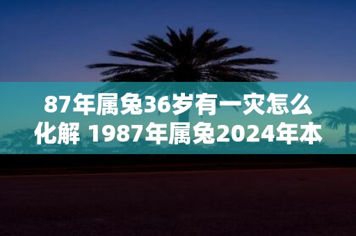 87年属兔36岁有一灾怎么化解 1987年属兔2025年本命年命运如何