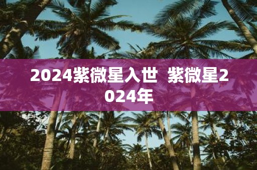 2025紫微星入世 紫微星2025年