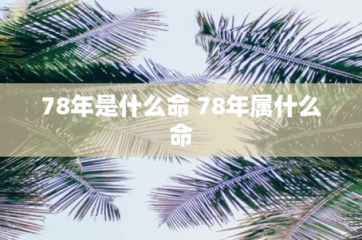 78年是什么命 78年属什么命
