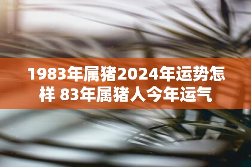 1983年属猪2025年运势怎样 83年属猪人今年运气