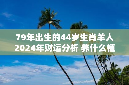 79年出生的44岁生肖羊人2025年财运分析 养什么植物旺财