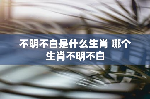 不明不白是什么生肖 哪个生肖不明不白