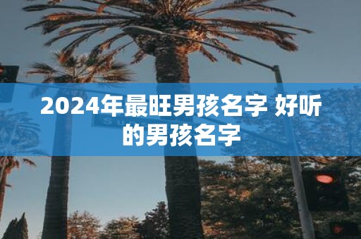 2025年最旺男孩名字 好听的男孩名字