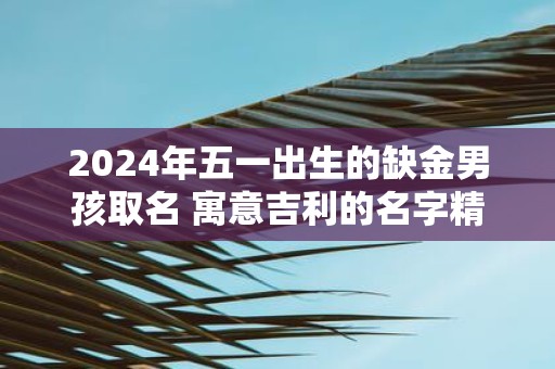 2025年五一出生的缺金男孩取名 寓意吉利的名字精选