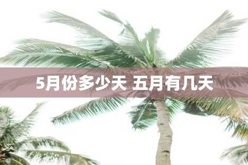 5月份多少天 五月有几天