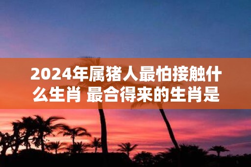 2025年属猪人最怕接触什么生肖 最合得来的生肖是什么