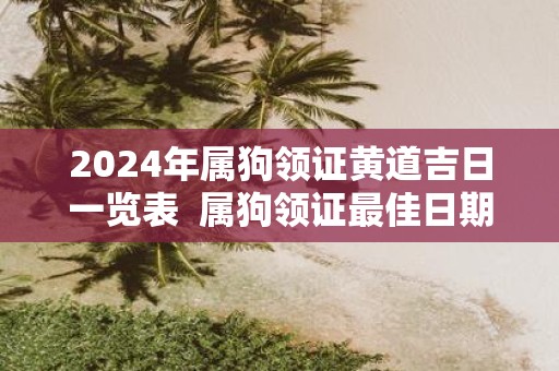 2025年属狗领证黄道吉日一览表 属狗领证最佳日期