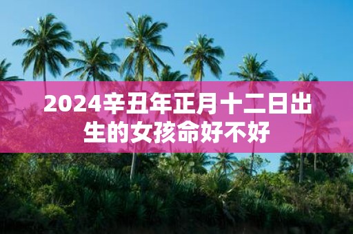 2025辛丑年正月十二日出生的女孩命好不好