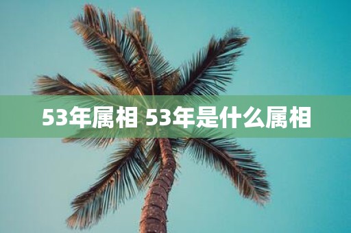 53年属相 53年是什么属相