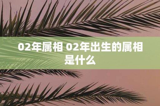 02年属相 02年出生的属相是什么