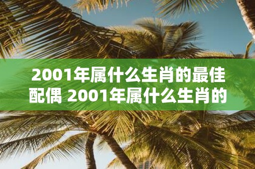 2001年属什么生肖的最佳配偶 2001年属什么生肖的最佳伴侣
