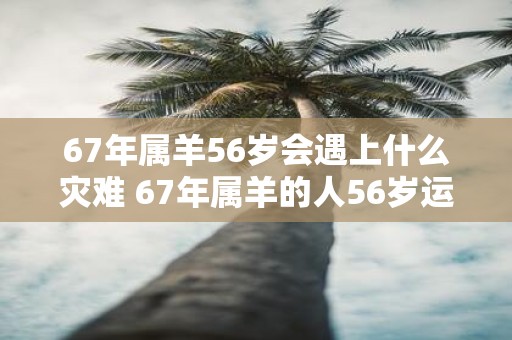 67年属羊56岁会遇上什么灾难 67年属羊的人56岁运势怎么样