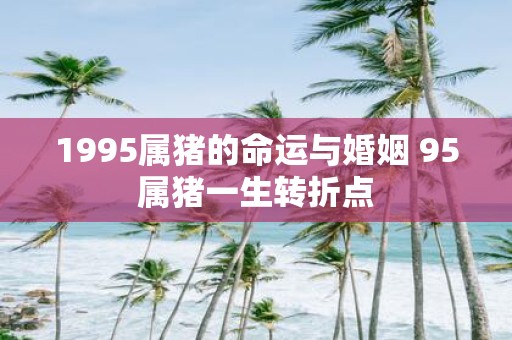 1995属猪的命运与婚姻 95属猪一生转折点