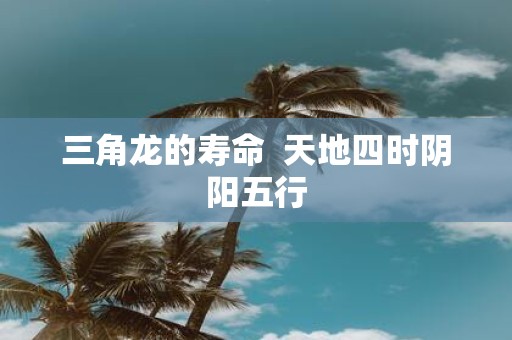 三角龙的寿命 天地四时阴阳五行
