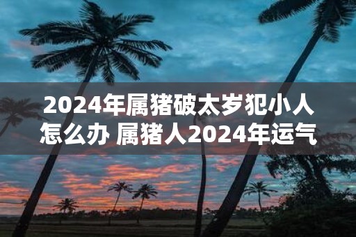 2025年属猪破太岁犯小人怎么办 属猪人2025年运气如何