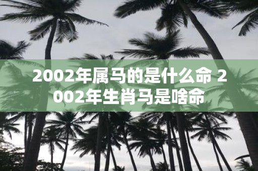 2002年属马的是什么命 2002年生肖马是啥命