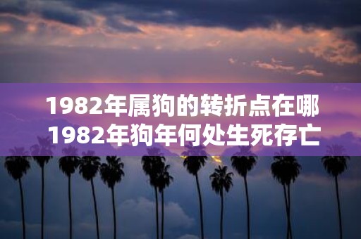 1982年属狗的转折点在哪 1982年狗年何处生死存亡