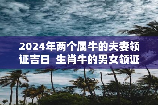 2025年两个属牛的夫妻领证吉日 生肖牛的男女领证