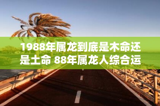 1988年属龙到底是木命还是土命 88年属龙人综合运势如何