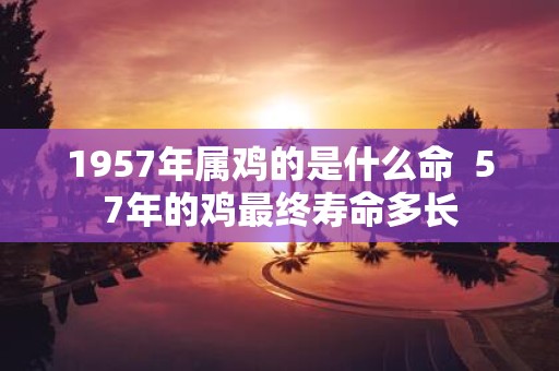 1957年属鸡的是什么命 57年的鸡最终寿命多长