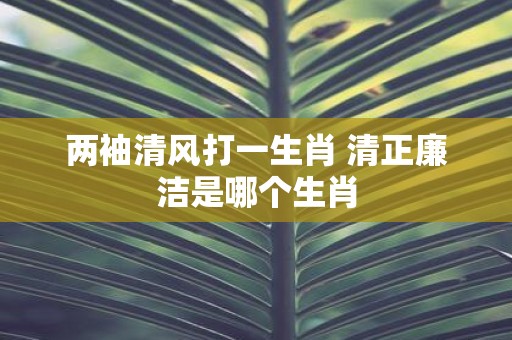两袖清风打一生肖 清正廉洁是哪个生肖